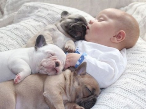 cute-baby-and-bulldog-puppies-images-00001